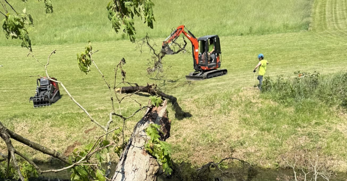 Land Clearing in Beaver Falls, PA