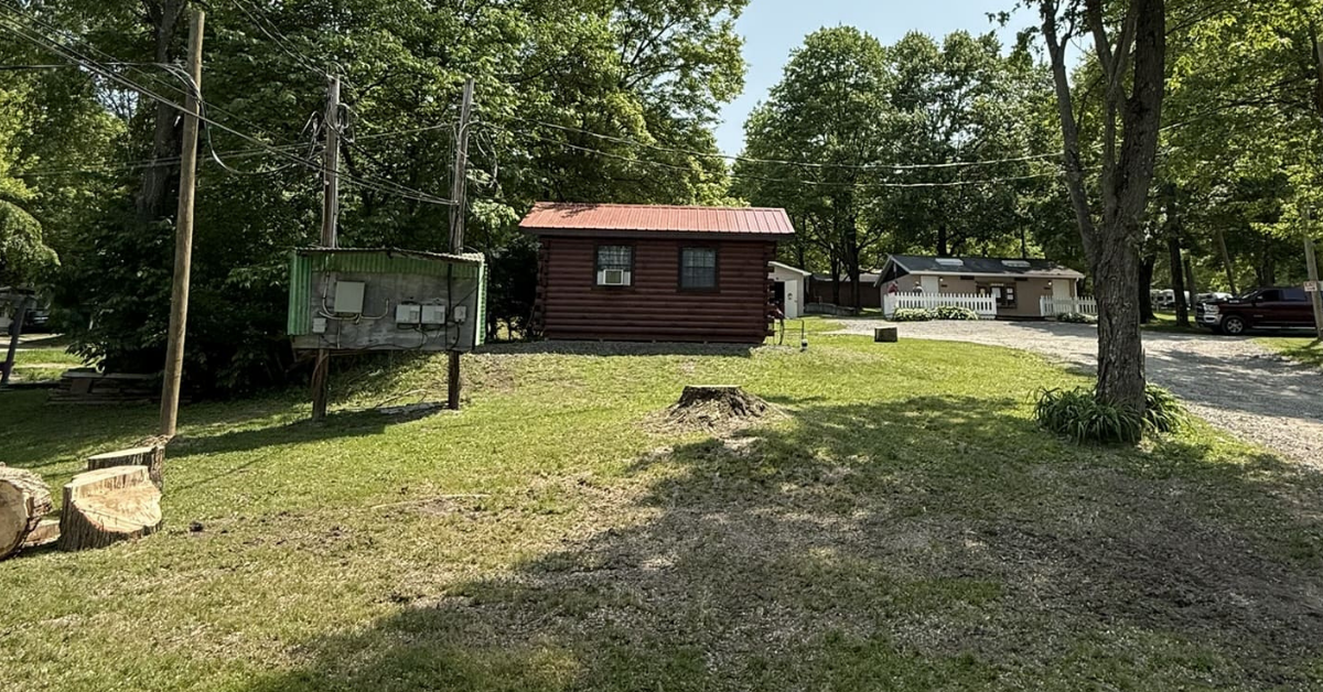 Stump Removal & Grinding in Beaver Falls PA